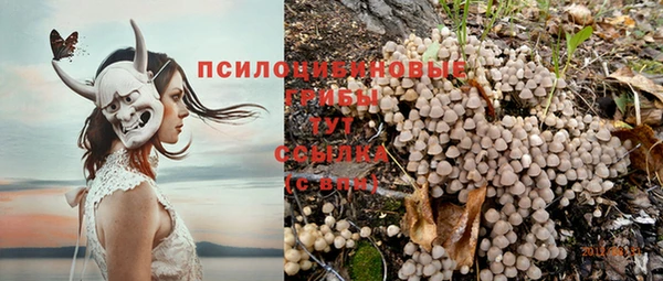 альфа пвп Верхнеуральск