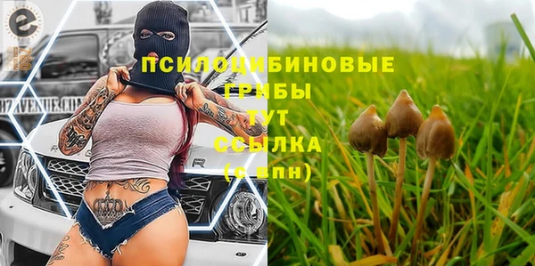 альфа пвп Верхнеуральск